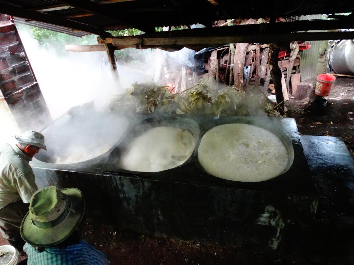 Cabanas Valle Campanas - Monteverde, Costa Rica Dış mekan fotoğraf